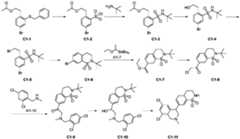 Figure PCTCN2021139314-appb-000088