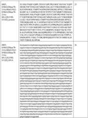 Figure imgf000127_0001