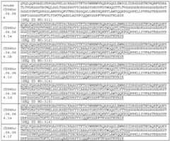 Figure imgf000113_0001