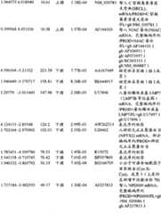 Figure BPA00001280678301211