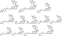 Figure GDA0003480931630000131