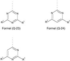 Figure imgf000031_0001
