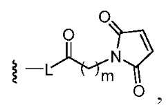 Figure imgf000143_0002
