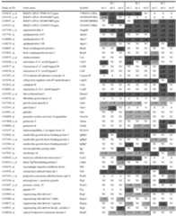 Figure imgf000041_0001