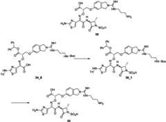 Figure GPA0000290633380000801