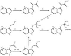 Figure imgf000022_0001