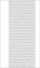 Figure BDA0002508391090001271