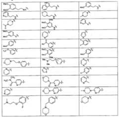 Figure 112006077693653-pct00028