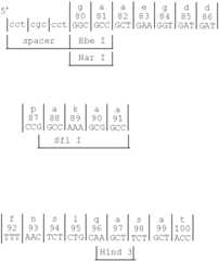Figure US07208293-20070424-C00036