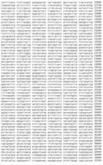 Figure IDA00002091897100171