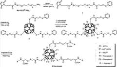 Figure BSA00000284971100031