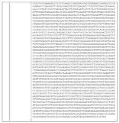 Figure imgf000346_0001