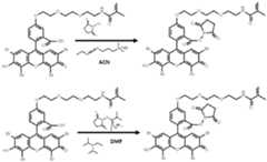 Figure imgf000074_0001