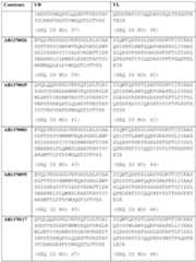 Figure imgf000028_0001