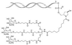 Figure imgf000017_0001