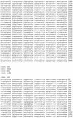 Figure IDA00002091897101161