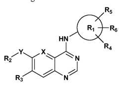 Figure imgf000079_0001