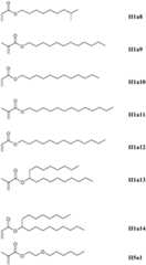 Figure FDA0003083866140000061