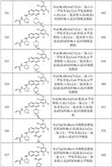 Figure GPA0000263212130001871