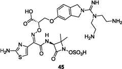 Figure GPA0000290633380000971