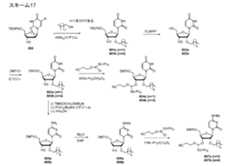 Figure 2023500681000068