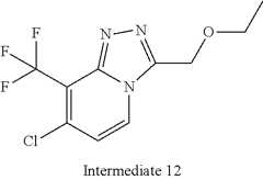 Figure US12048696-20240730-C00066