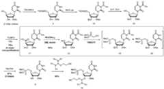 Figure imgf000088_0001