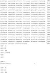 Figure IDA00002262292500041