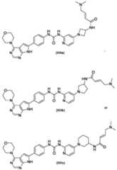 Figure imgf000052_0001