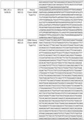 Figure imgf000144_0001