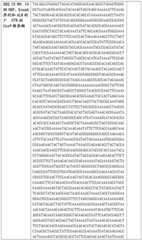 Figure BDA0002508391090001431