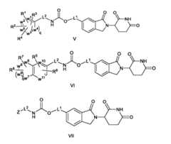 Figure imgf000008_0001