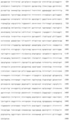 Figure IDA00002823619700241