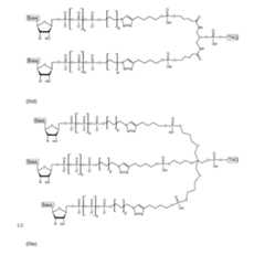 Figure imgf000093_0001