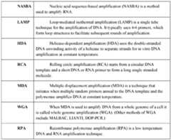 Figure imgf000030_0001