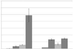 Figure imgf000029_0001