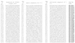 Figure imgf000099_0001