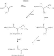 Figure US06693072-20040217-C00031