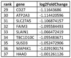 Figure imgf000037_0002