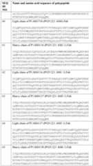 Figure imgf000105_0001