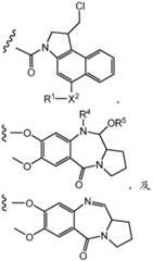 Figure BDA0001241706110000121