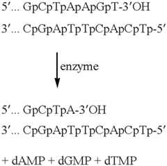 Figure US06391551-20020521-C00003