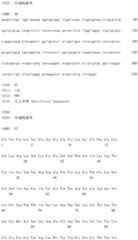 Figure IDA0002581779080000651