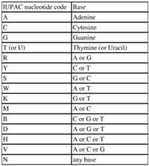 Figure imgf000010_0001