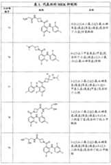 Figure G2007800513551D01111