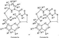 Figure imgf000005_0001