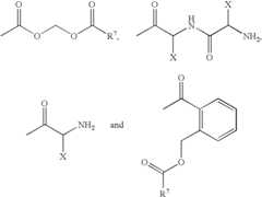 Figure US06703522-20040309-C00016