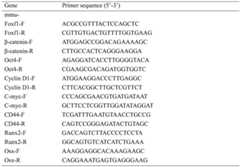 Figure BDA0002367994310000031