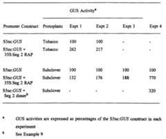 Figure imgf000027_0001
