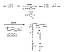 Figure BDA00001603958300161